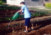Projeto Terra Viva